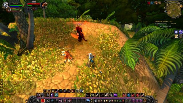 WoW Classic Tiger Mastery Sin'Dall Location смотреть онлайн