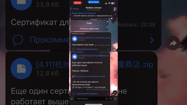 КАК СКАЧАТЬ TikTok на АЙФОН через ESign | Без скарлет