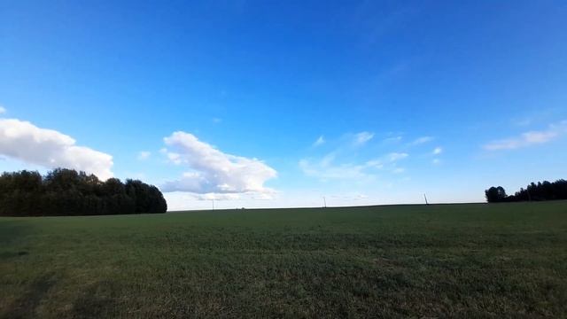 Не хочется мыть после шашлыка? Тогда делайте так!!! смотреть онлайн