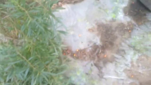 Строительный Рейтинг