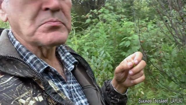 Абрикосы в Сибири смотреть онлайн