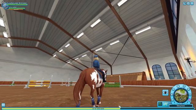 Training eclipse for show jumping {SSO RRP} смотреть онлайн