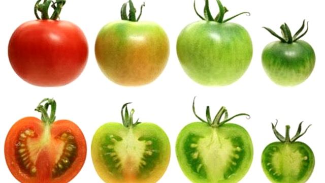 Много людей едят Помидоры, но не знают, Что Они Делают с Нашим Организмом. Вред и польза помидоров! смотреть онлайн