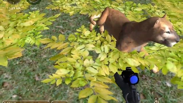 Hunting Unlimited 2010 Gameplay (Challenges, Tier 4, Mission 2: "All Animal Target and Track") смотреть онлайн