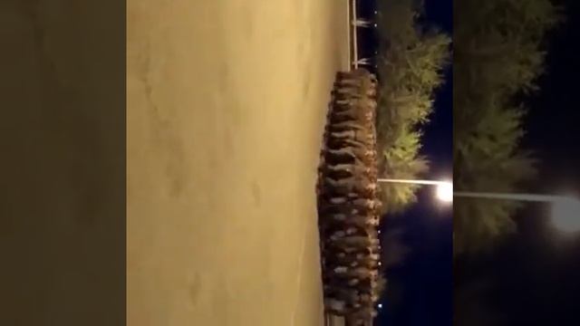 Отар Арт бригада 82796 смотреть онлайн
