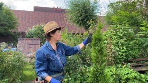 ТУИ | Формируем в один ствол