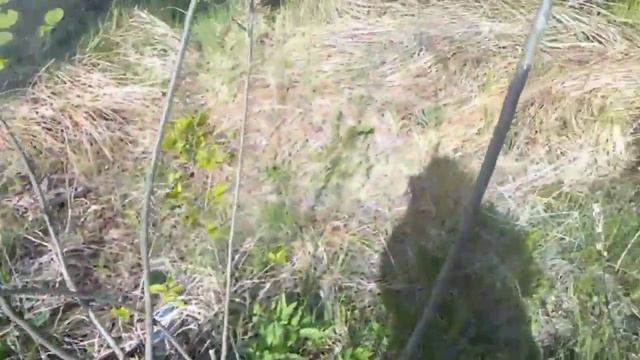 Ищем живность в лесу .Тьфу , в каком лесу ?! В степу !!! смотреть онлайн