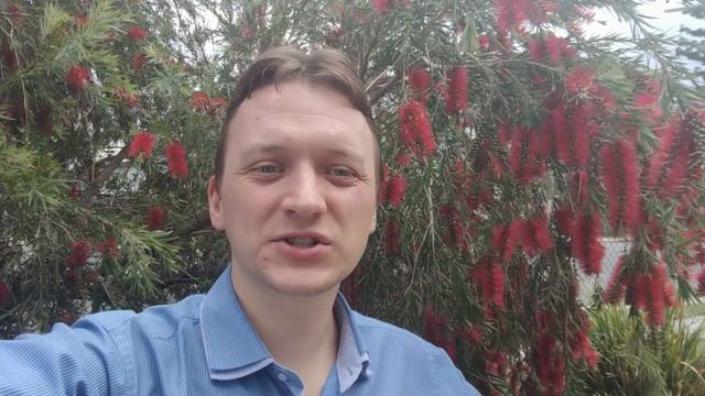 Анонс серии 75 смотреть онлайн