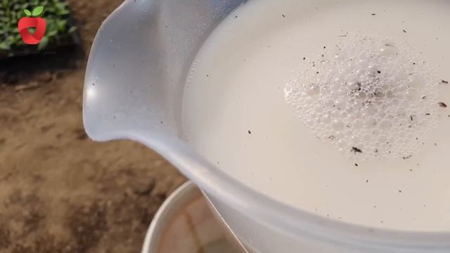 Napravite ova prirodna hranjiva za bolji početni razvoj i rast presadnica смотреть онлайн