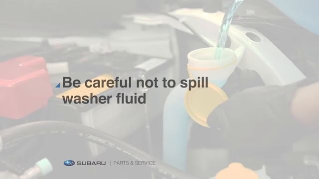 Subaru Parts and Service Checking Fluids смотреть онлайн