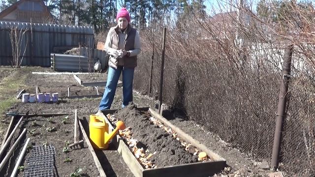 Тёплая грядка для РАННЕГО КАРТОФЕЛЯ. Просто и быстро. смотреть онлайн