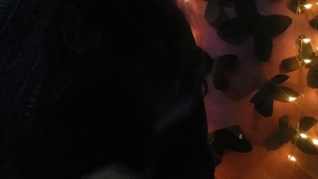 ASMR TRACING with Finger | SOFT TALKING | MINI ASMR смотреть онлайн