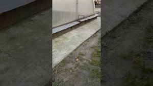 Яма для кроликов спустя 4 года.