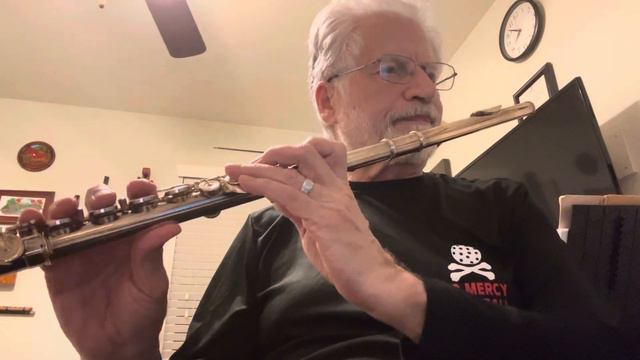 Adagio -flute -Thomaso Albinoni смотреть онлайн