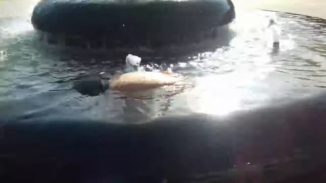 Белореченск -фантан- намылился и обмылся)) 02.06.17 смотреть онлайн