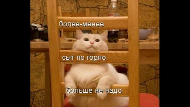 Котята поднимают настроение смотреть онлайн