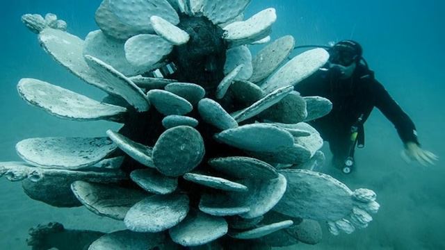 FIRST UNDERWATER MUSEUM IN EUROPE | HOW AND WHY смотреть онлайн