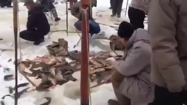 Вот так надо рыбачить смотреть онлайн