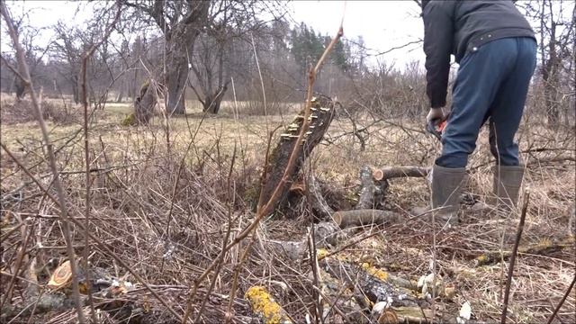 Моя жизнь в ДЕРЕВНЕ РЕГИОН 60 Мужчины, как дети малые смотреть онлайн