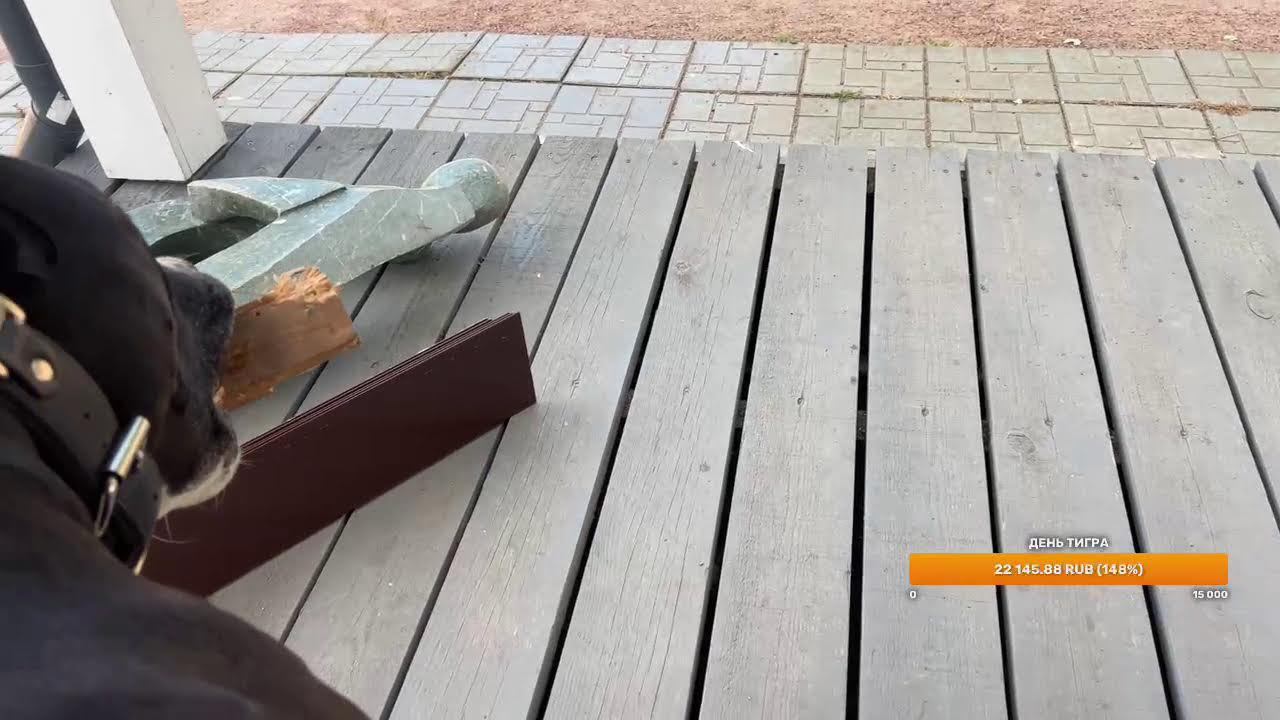 С Днем Тигра ,почти!!)