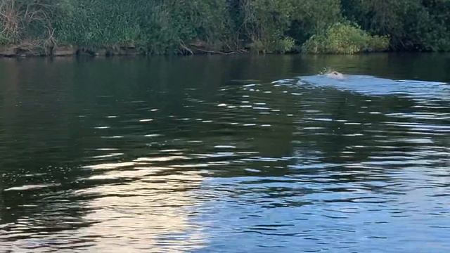 Toyota Hilux 4runner Project Part 3 - Making the interior more comfortable смотреть онлайн