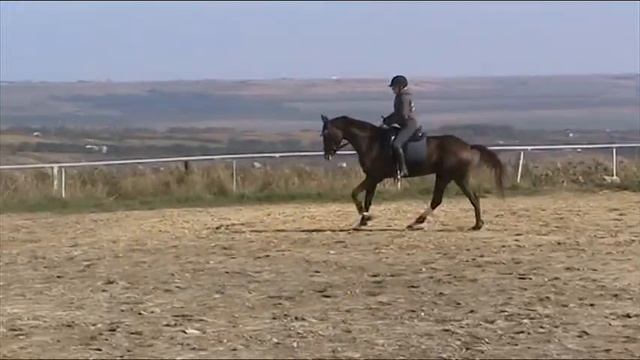 MOV005 смотреть онлайн