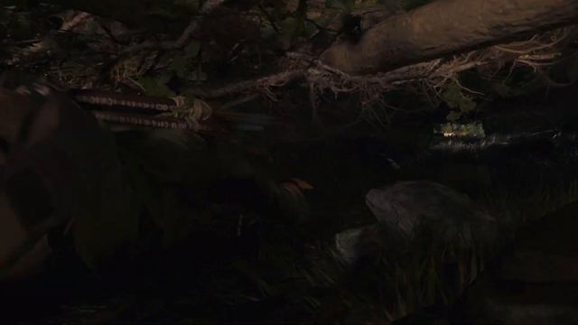 Shadow of the Tomb Raider ➤ Прохождение [2K] ➤ Часть 2. Поиск друзей. Новы трудности смотреть онлайн