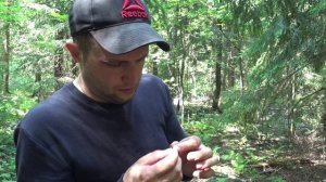 Что скрывают леса Подмосковья. Золотая лихорадка.