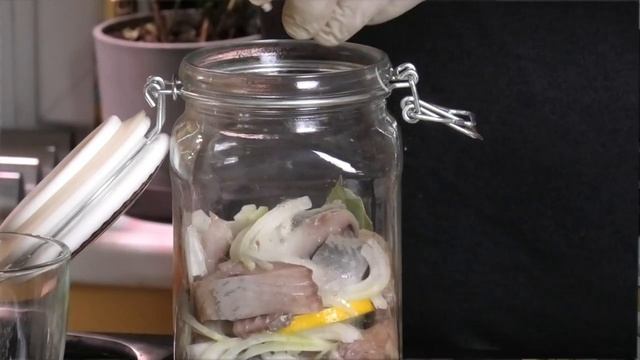 Засолка рыбы и икры в домашних условиях