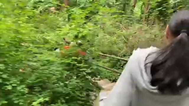 PERLS at UBC смотреть онлайн