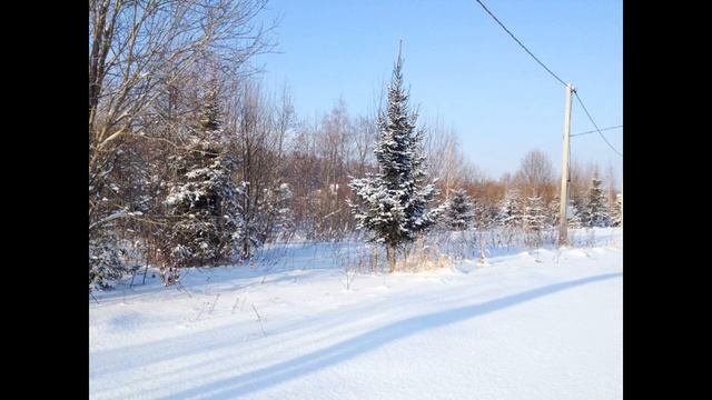 Участок 15 сот, газ, электр, ИЖС д. Сбоево, 47км. от МКАД Дмитровское смотреть онлайн