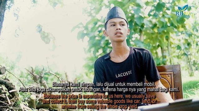 JAVA LONGPEPPER IMPORT FROM INDONESIA PT ROROBUMI MITRA INDONESIA смотреть онлайн