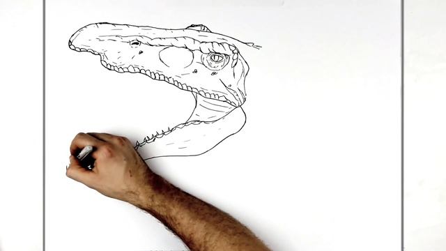 How To Draw Baryonyx | Step By Step смотреть онлайн