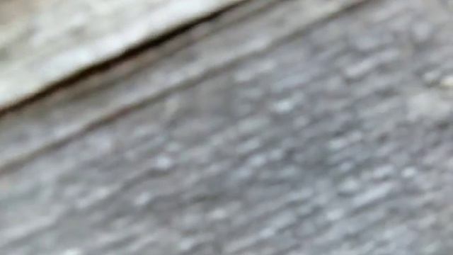 #277 (2018-08-02) строим погреб. Сетка арматуры смотреть онлайн