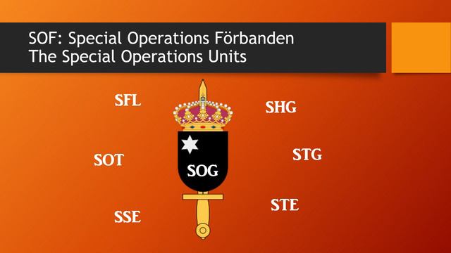 SOG: Swedens Elite Fighting Force смотреть онлайн