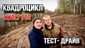 Квадроцикл LONCIN XWOLF 700 L. Тест-драйв.