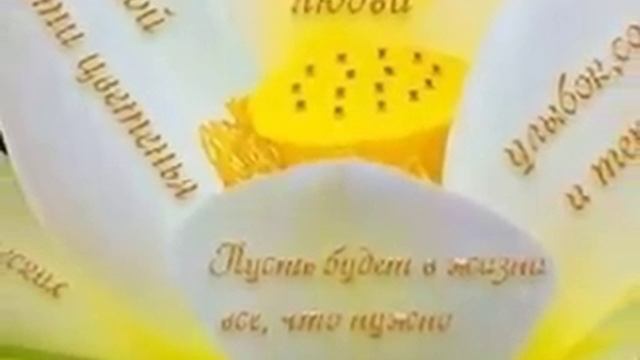 С ДНЁМ РОЖДЕНИЯ, СВЕТА! смотреть онлайн