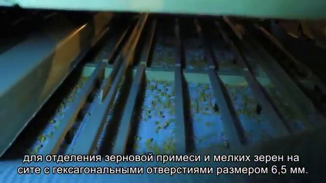Универсальный завод по производству "Сильных семян", разделения семян кукурузы на плоские и круглые смотреть онлайн