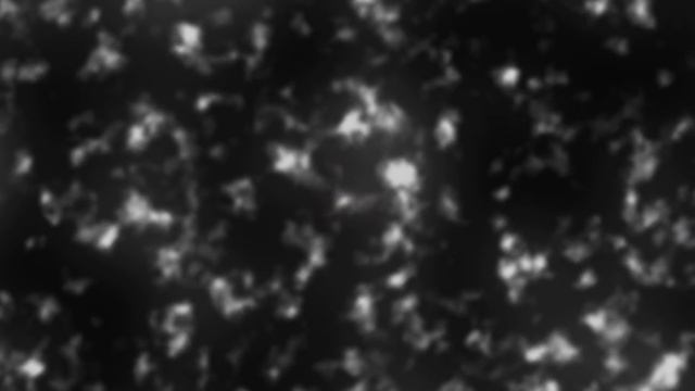 What Was The Big Bang? смотреть онлайн