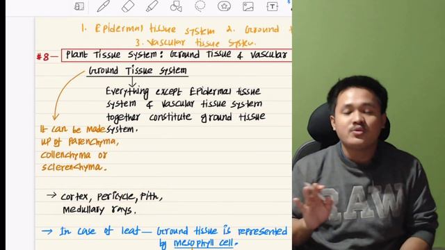 🎯KOKBOROK NEET 2024 BIOLOGY11✅TOPIC:PLANTS TISSUE SYSTEM(GROUND & VASCULAR)II Sir DEBA смотреть онлайн