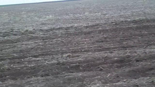 Как правильно культивировать!? Сохраняем влагу или нет? смотреть онлайн