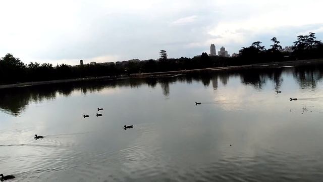 Casa de campo Madrid смотреть онлайн