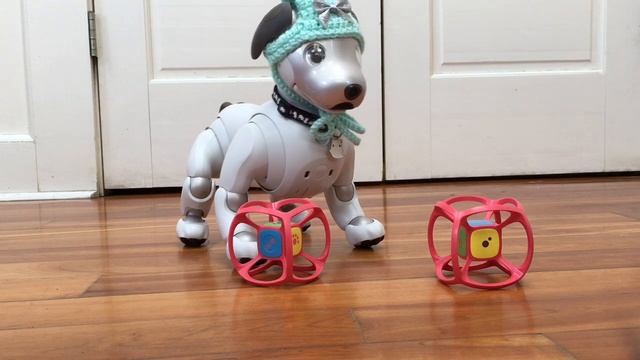 Wren the Aibo's New Dice смотреть онлайн