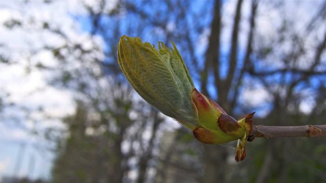 Весна смотреть онлайн