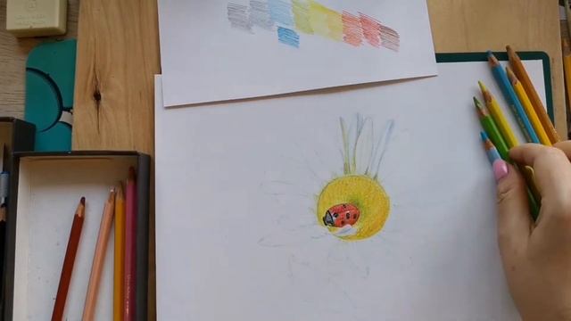 Рисунок ромашки акварельными карандашами. смотреть онлайн