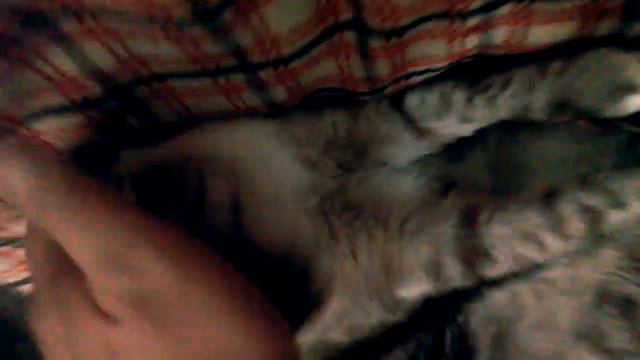 Милый циничный манипулятор смотреть онлайн