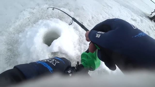 Судак в восторге от этих вибов / Новые расцветки Bassday / Рыбалка зимой со льда смотреть онлайн