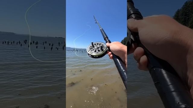 What would you catch with this? смотреть онлайн