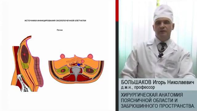 Большаков И. Н. Хирургическая анатомия поясничной области и забрюшинного пространства. смотреть онлайн