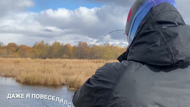 Животные и Их Характеры